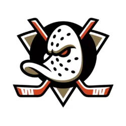 Anaheim Ducks Hockey Gear