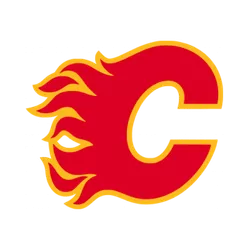 Calgary Flames Sticks
