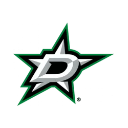 Dallas Stars Sticks