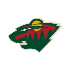 Minnesota Wild Sticks