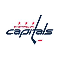 Washington Capitals Sticks